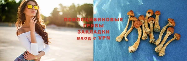 МДПВ Дмитров
