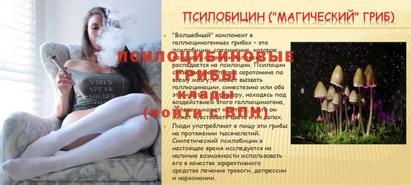 крисы Дмитриев