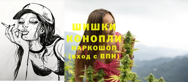 МДПВ Дмитров
